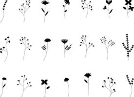 Sommerblumen gesetzt. Schwarz-Weiß-Doodle-Illustration isoliert auf weißem Hintergrund. set doodles von pflanzen und blumen illustration vektor