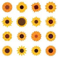 Sonnenblumen-Icons gesetzt, flacher Stil vektor