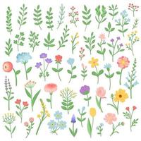 blumen und zweige sommer frühling set vektorillustration vektor