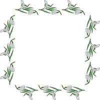 quadratischer Rahmen zum Zeichnen von Schneeglöckchen. isolierte Blumen auf weißem Hintergrund für Ihr Design. vektor