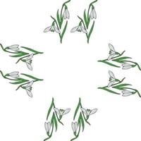 quadratischer Rahmen aus Schneeglöckchen. isolierte Blumen auf weißem Hintergrund für Ihr Design. vektor