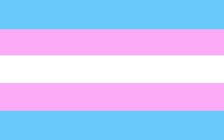 vektor transgender flagga. lgbtq plus transsexuell flagga.