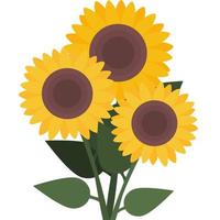 Illustrator-Vektor eines Bündels Sonnenblumen, bunte Sonnenblume vektor