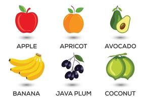 Reihe von Früchten. verschiedene bunte Früchte. frische lebensmittel, gesundes esskonzept. Vektor-Illustration vektor
