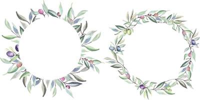 handritade olivkvistar med akvarell praktiskt för att dekorera inbjudningskort naturen i vintage style.botanical krans. vektor