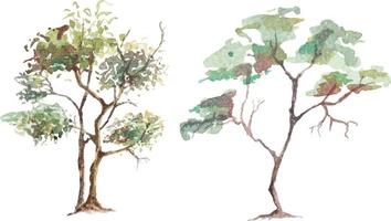 handgezeichnete baumaquarellbüsche, skizzen für die landschaftsgestaltung. vektor