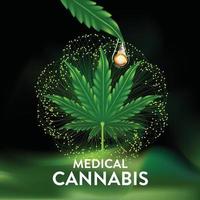 marijuana, cannabisblad vektorillustration, naturlig essensolja vektor
