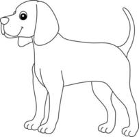coonhound dog isolerad målarbok för barn vektor