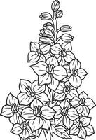delphinium blomma målarbok för vuxna vektor