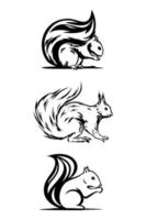 Eichhörnchen rotes eurasisches Logo entwirft Symbolvektor vektor