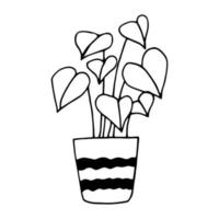 eingemachtes Anthurium-Symbol handgezeichnet. , minimalismus, skandinavisch, monochrome nordische aufkleberpflanzenblume vektor