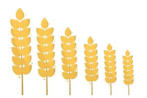 Ohren von Ährchen von Weizenpflanzen, Gerste oder Roggen, Vektorgrafik-Symbole, ideal für Brotverpackungen, Bieretiketten usw. Stock-Vektor-Illustration isoliert auf Weiß vektor