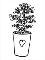 süße handgezeichnete zimmerpflanze in einem topf clipart. Pflanzenillustration. gemütliches heimgekritzel vektor