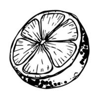 vektor citron clipart. handritad citrus ikon. frukt illustration. för tryck, webb, design, inredning