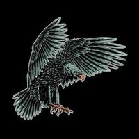 Weißkopfseeadler fliegende Sturzfluglinie Kunst zeichnen schwarze Farbe auf weißer Hintergrundillustration. für T-Shirt, Becher, Tragetasche, Hoodie vektor