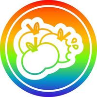 saftige Äpfel kreisförmig im Regenbogenspektrum vektor