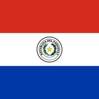 Paraguay-Flagge, offizielle Farben. Vektor-Illustration. vektor