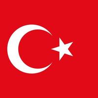 Türkei-Flagge, offizielle Farben. Vektor-Illustration. vektor
