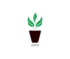 Blatt grüne Pflanze Vektorgrafik-Design-Vorlage vektor