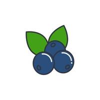 Blaubeere mit Blättern Farblinie Symbol isoliertes Objekt vektor