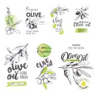 satz von handgezeichneten aquarelletiketten und zeichen von olivenöl. vektorillustrationen für olivenöletiketten, verpackungsdesign, naturprodukte, restaurant. vektor