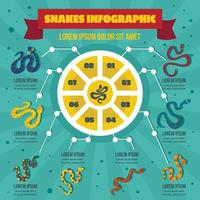 Schlangen-Infografik-Konzept, flacher Stil vektor