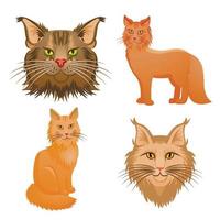 Maine Coon Icons Set, Cartoon-Stil vektor