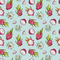 röd drakefrukt. frukt seamless mönster med pitahaya. design för tyg, textil, tapeter, förpackningar. vektor