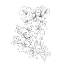 Kina ros blomma doodle målarbok illustration med streckteckning vektor