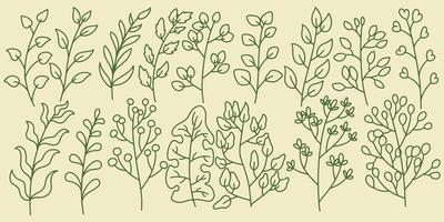 sechzehn handgezeichnete florale botanische Farnwaldelemente vektor