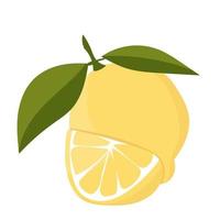 Zitrone mit Blättern Minimalismus. saure frische Zitronenfrucht. vektor