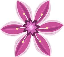Deutzia-Blumenvektorillustration für Grafikdesign und dekoratives Element vektor