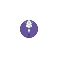 Lavendel-Symbol-Vektor-Illustration-Design-Vorlage vektor