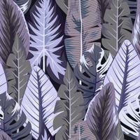 seamless mönster med tropiska vackra blad exotisk bakgrund vektor