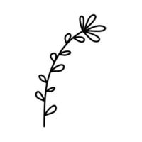 Blumenvektor einfache botanische Illustration, Liniengrafik, minimale Designelemente. elegante und zarte pflanzengekritzel für branding, grafikdesign. frühlingsblumen clipart vektor