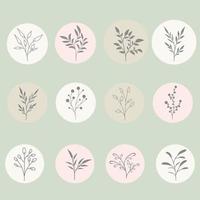 Instagram-Highlight umfasst Story-Highlight-Symbole botanische Strichzeichnungen Blumenblume vektor