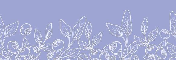 vektor sömlös kant med blåbär. blåbärsbär med kvistar av löv i handritad stil. botanisk illustration med bär, svart linje skiss