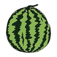 söt vektor vattenmelon clipart. handritad vattenmelon ikon. frukt illustration.