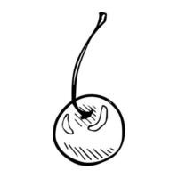 Vektor-Kirsch-Cliparts. Hand gezeichnete Beerenikone. Fruchtabbildung vektor