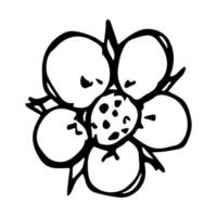 vektor jordgubbe blomma clipart. handritad blossom illustration. för tryck, webb, design, dekor, logotyp