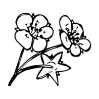 vektor jordgubbe blomma clipart. handritad blossom illustration. för tryck, webb, design, dekor, logotyp