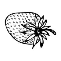 Vektor-Erdbeer-Cliparts. Hand gezeichnete Beerenikone. Fruchtabbildung. für Print, Web, Design, Dekor vektor