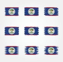 belize flagga borste. National flagga vektor