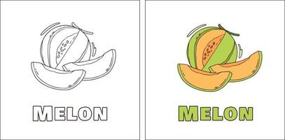 en handritad målarbok för melon vektor