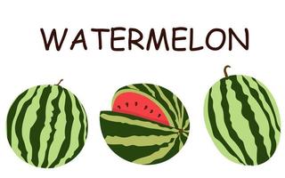 uppsättning vektor illustrationer av platt vattenmelon. hel vattenmelon, skuren vattenmelon, vattenmelonskivor