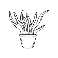 krukväxt i en kruka. fin krukväxt. en vacker växt. vektor illustration i doodle stil.