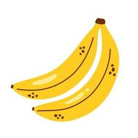 Vektor-Bananen-Bündel. süße Bananen im flachen Design. zwei Bananen, isoliert auf weiss. Tropische Frucht. vektor
