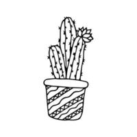 handgezeichneter Doodle-Kaktus. Vektor saftig im Topf. Zimmerpflanze. Gliederung.