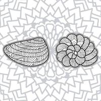 Shell-Malvorlagen-Design mit Mandala-Hintergrund vektor