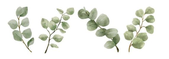 gröna blad akvarell handritad. uppsättning gröna blad i akvarell stil isolerad på vit bakgrund. dekorativ skönhet elegant illustration samling för design vektor